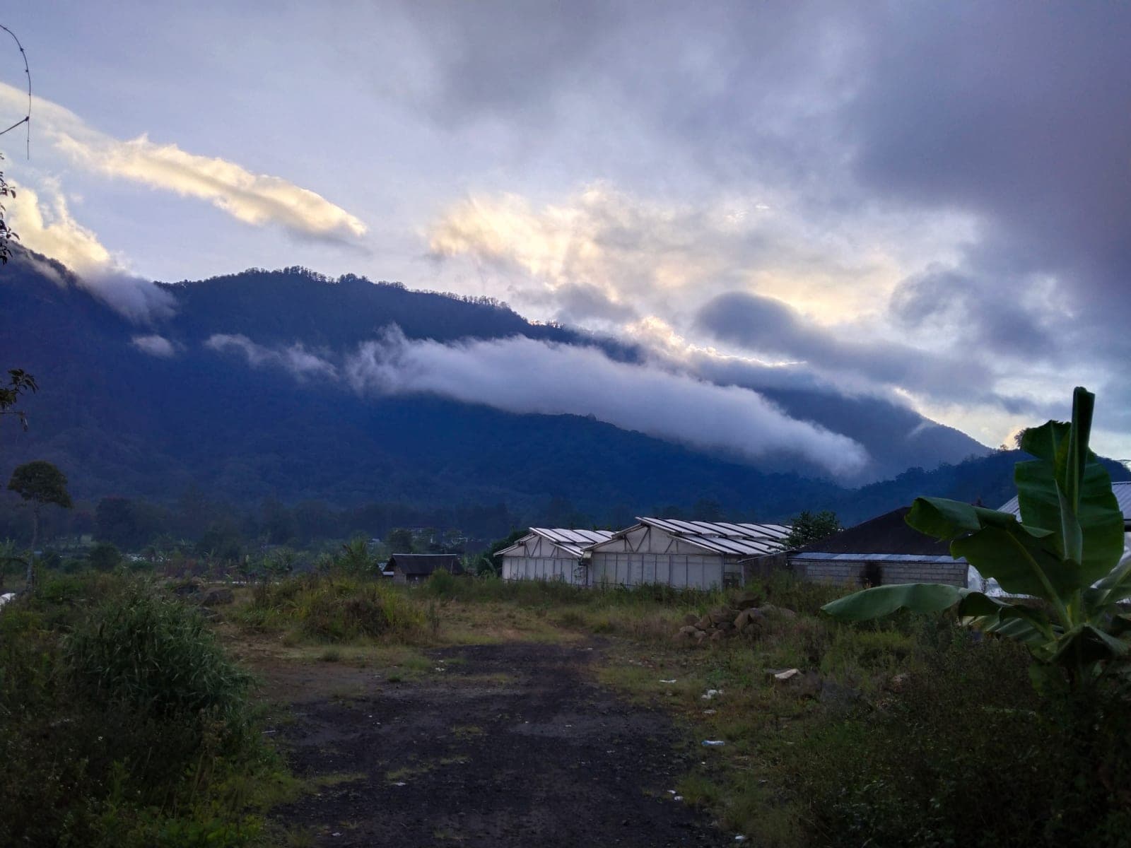 morning cloud photos