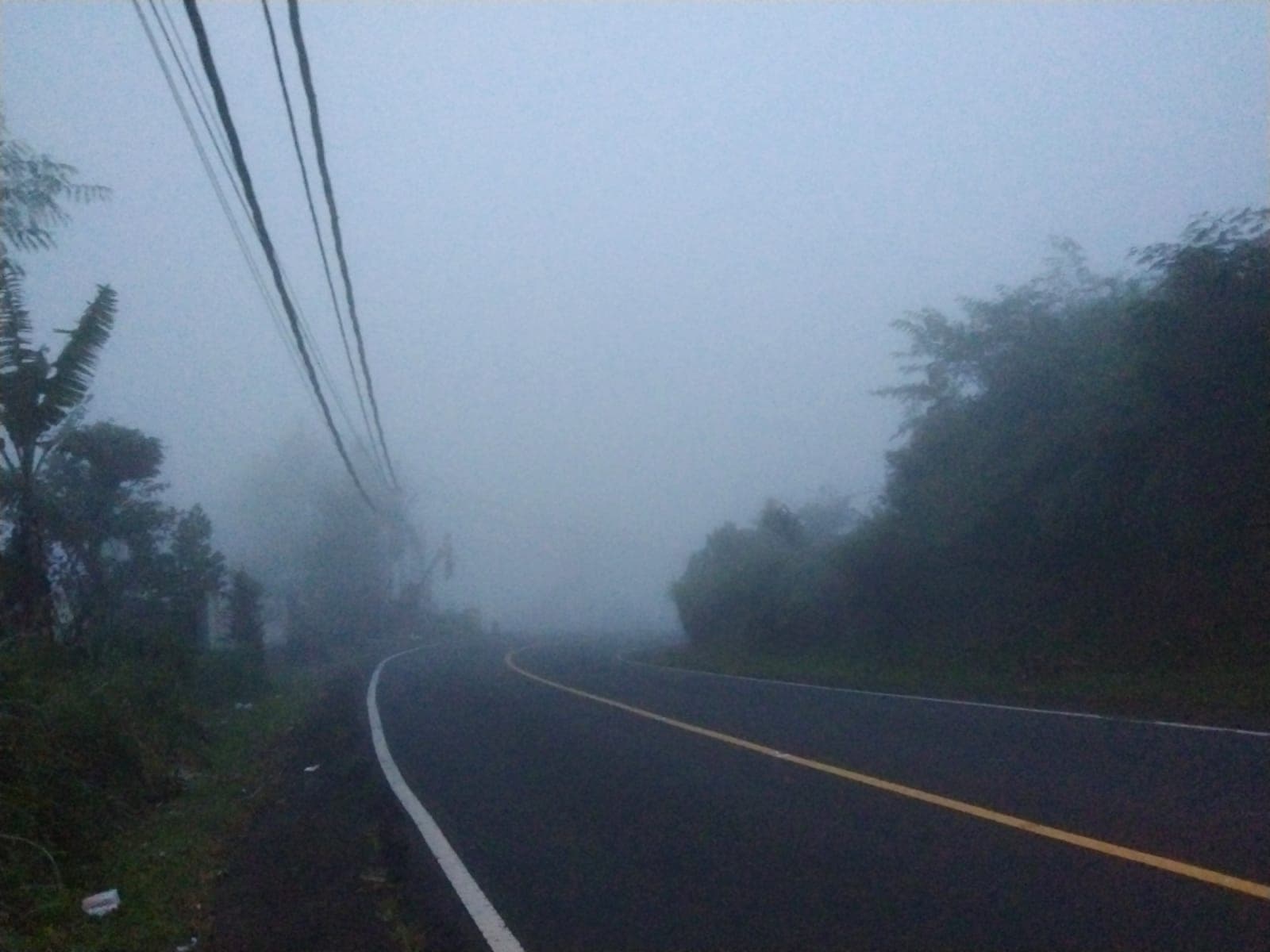 foggy photos
