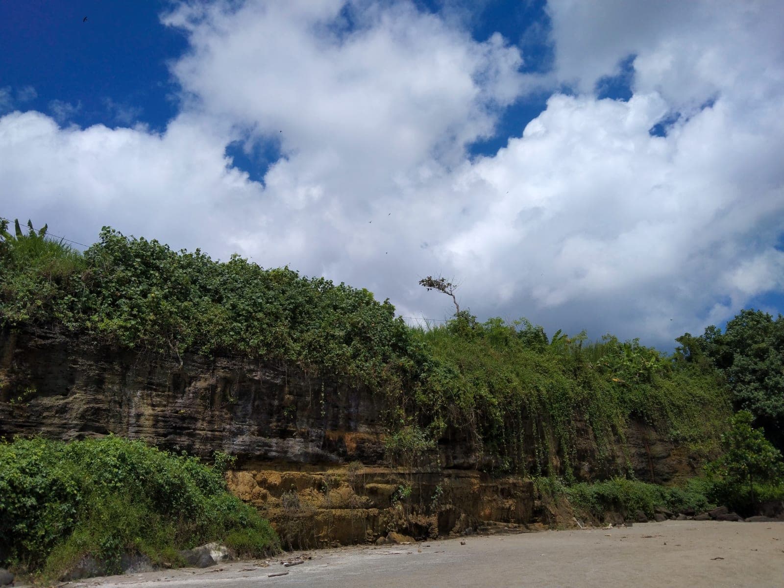sea cliff photos