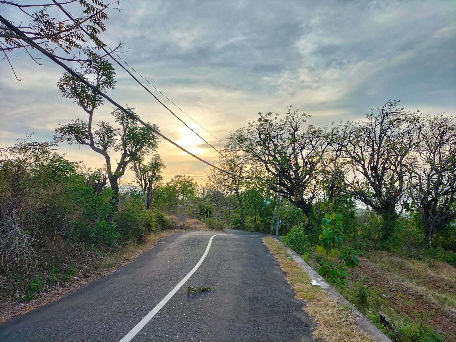 different path photos