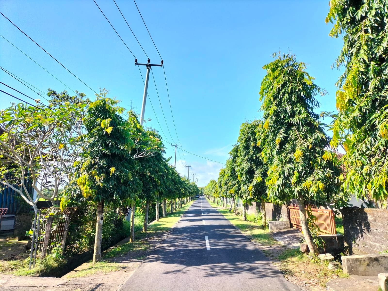 road photos